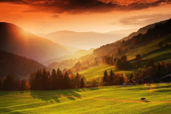 Val Funes Trentino Alto Adige Talya Avrupa — Stok fotoğraf