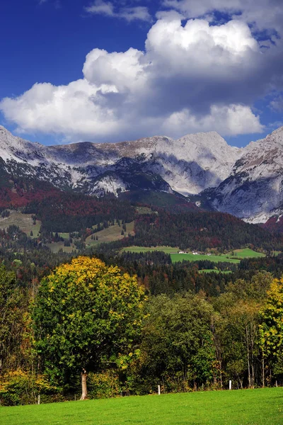 Görünüm Wilder Kaiser Dağlarının Tyrol Avusturya — Stok fotoğraf