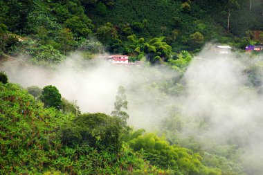 Buenavista Antioquia, Colombia, Güney Amerika