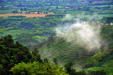Yağmurlu manzara Buenavista, Quindio, Colombia, Güney Amerika