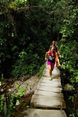Cocora Vadisi, Kolombiya, Güney Amerika turist