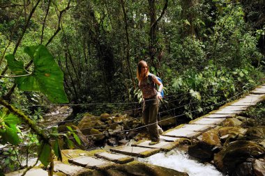 Cocora Vadisi, Kolombiya, Güney Amerika turist