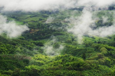 Yağmurlu manzara Buenavista, Quindio, Colombia, Güney Amerika