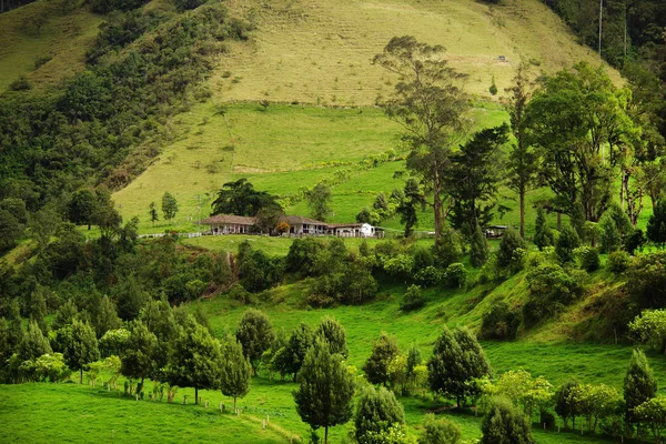 Paesaggio Nuvoloso Della Valle Cocora Salento Colombia Sud America — Foto Stock