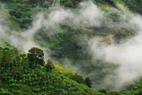 Regenachtige Landschap Buenavista Quindio Colombia Zuid Amerika — Stockfoto