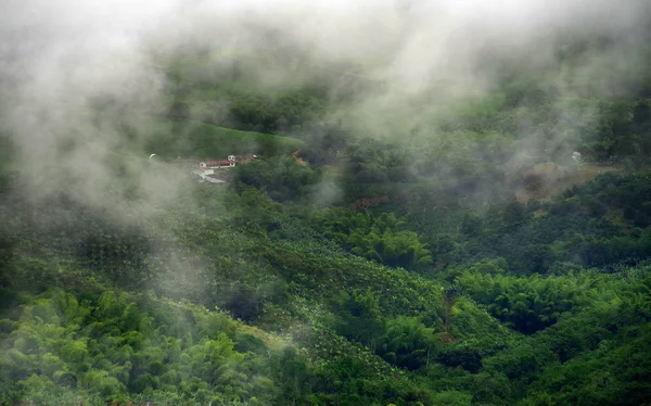 Colline Coperte Piantagioni Caffè Banane Vicino Buenavista Antioquia Colombia Paesaggio — Foto Stock