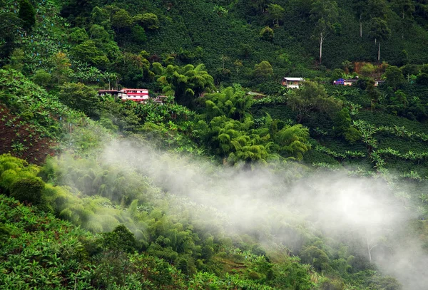 Paisagem Chuvosa Quindio Colômbia América Sul — Fotografia de Stock