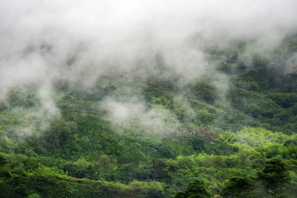 Colinas Cubiertas Plantaciones Café Banano Cerca Buenavista Antioquia Colombia Paisaje — Foto de Stock