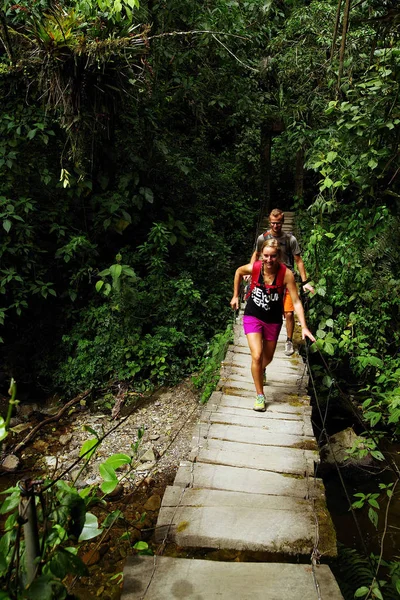 Cocora Vadisi Kolombiya Güney Amerika Turist — Stok fotoğraf