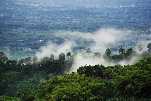 Paesaggio Pluviale Buenavista Quindio Colombia Sud America — Foto Stock