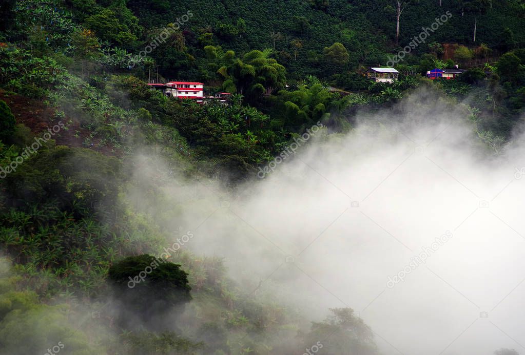 Rainy landscape in Buenavista, Quindio, Colombia, South America