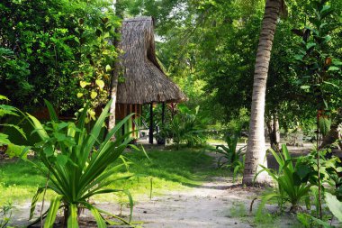 Karayip manzara Isla Grande, Rosario Archipelago, Kolombiya, Güney Amerika