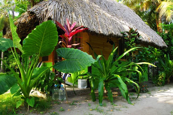 Karayip Manzara Isla Grande Rosario Archipelago Kolombiya Güney Amerika — Stok fotoğraf