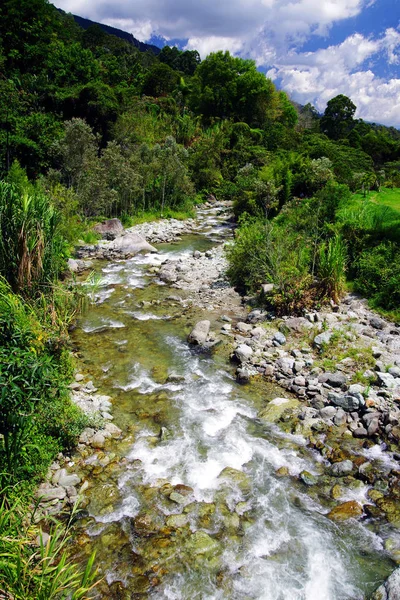 Ландшафт Центральной Кордильеры Колумбия Южная Америка — стоковое фото