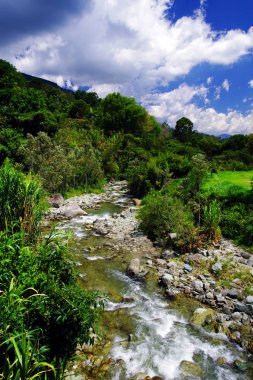 Cordiliera Central, Kolombiya, Güney Amerika Manzarası