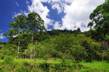 Cordiliera Central, Kolombiya, Güney Amerika Manzarası