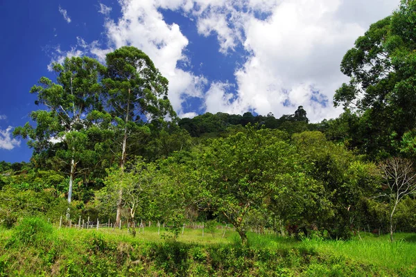 Landschap Van Cordiliera Centraal Colombia Zuid Amerika — Stockfoto