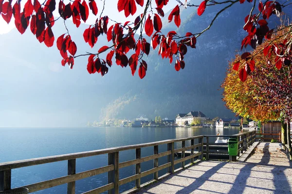 Hallstatt Resort Österreich Europa — Stockfoto