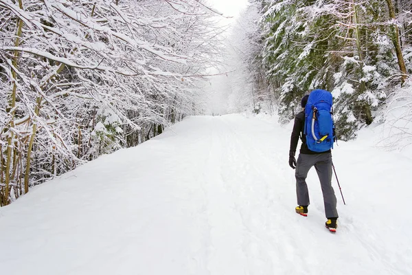 Giovane Trekking Dure Condizioni Invernali — Foto Stock