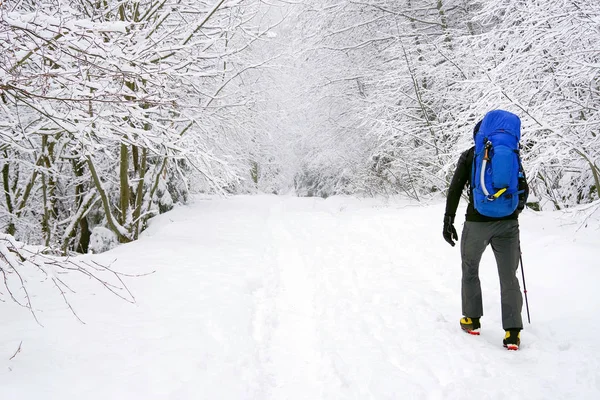 Young Man Trekking Harsh Winter Condition — Stock Photo, Image