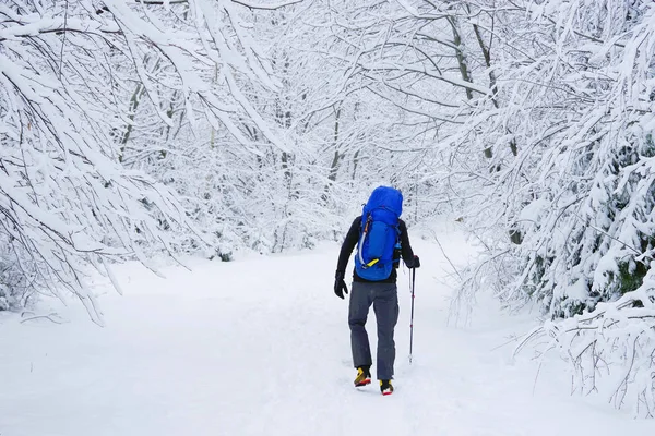 Giovane Trekking Dure Condizioni Invernali — Foto Stock