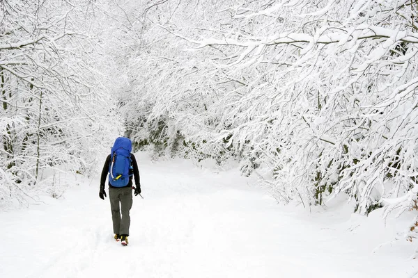 Young Man Trekking Harsh Winter Condition — Stock Photo, Image