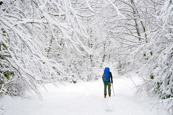 Joven Trekking Duras Condiciones Invierno —  Fotos de Stock