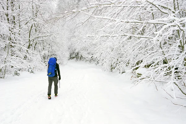 Genç Adam Sert Kış Durumda Trekking — Stok fotoğraf
