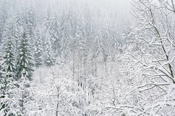 Winter Alpine Landscape National Park Retezat Carpathians Romania Europe Snow — Stock Photo, Image