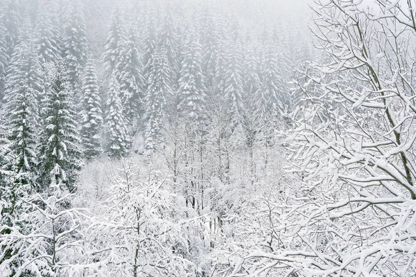 Zimní Alpské Krajiny Národní Park Retezat Karpaty Rumunsko Evropa Zasněžené — Stock fotografie