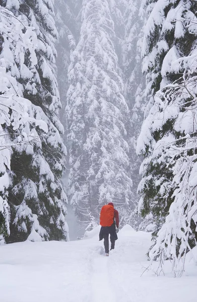 Młody Człowiek Trekking Trudnych Zimowych Warunkach — Zdjęcie stockowe
