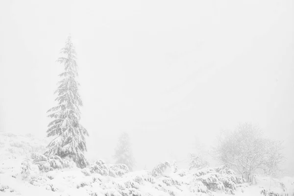 Paisaje Alpino Invernal Parque Nacional Retezat Cárpatos Rumania Europa Bosque — Foto de Stock