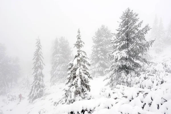 Paisaje Alpino Invernal Parque Nacional Retezat Cárpatos Rumania Europa Bosque —  Fotos de Stock