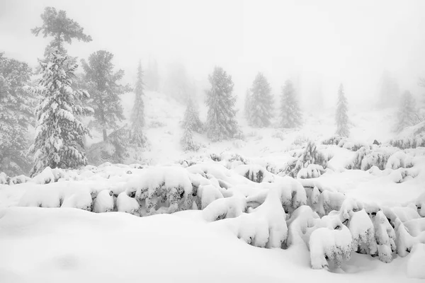 Paisaje Alpino Invernal Parque Nacional Retezat Cárpatos Rumania Europa Bosque —  Fotos de Stock