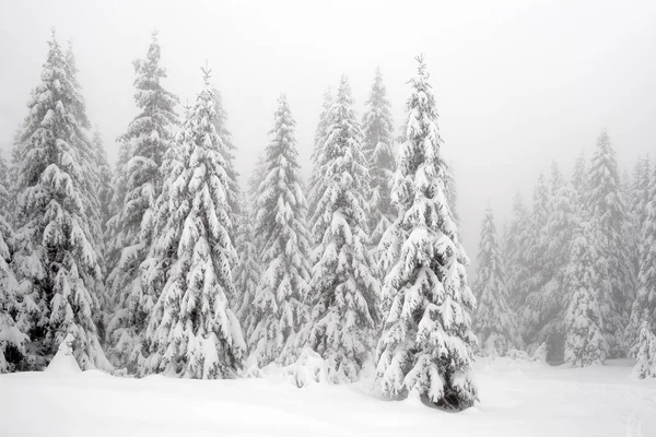 Paisaje Alpino Invernal Parque Nacional Retezat Cárpatos Rumania Europa Bosque —  Fotos de Stock