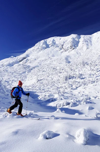 Ski Randonnée Dans Des Conditions Hivernales Difficiles — Photo