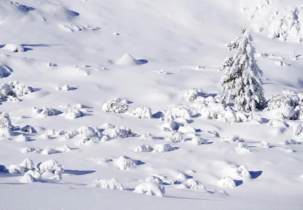 冬季高山景观在国家公园 Retezat 喀尔巴泰 罗马尼亚 雪覆盖的山风景 — 图库照片