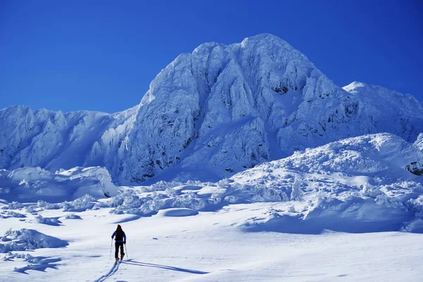 Ski Touring Barre Winterse Omstandigheden — Stockfoto