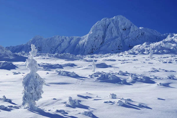Alpine Winterlandschaft Nationalpark Retesat Karpaten Rumänien Europa Schneebedeckte Berglandschaft — Stockfoto