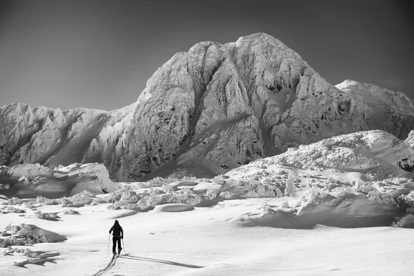 Ski Touring Trudnych Warunkach Zimowych Ski Tourer Sportowych Górach Zimowy — Zdjęcie stockowe