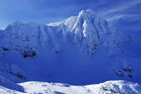 Взимку Альпійський Пейзаж Національному Парку Retezat Карпати Румунія Європі Сніг — стокове фото