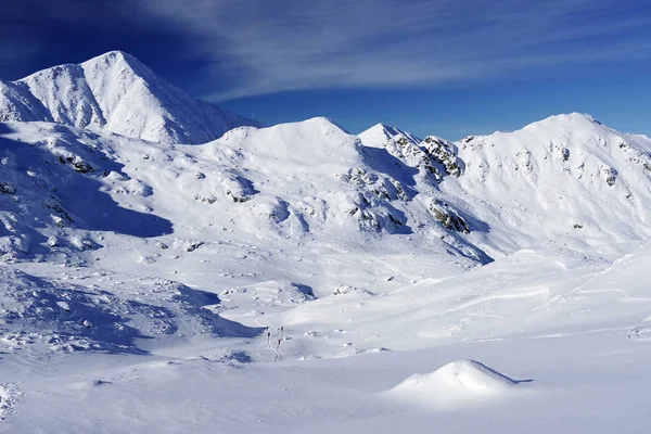 Zima Alpejskich Krajobrazów Europie Park Narodowy Retezat Karpat Rumunii Pokryte — Zdjęcie stockowe