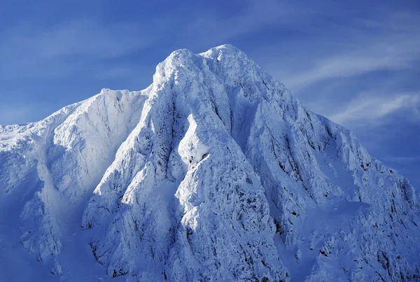 Alpine Winterlandschap Nationaalpark Retezat Karpaten Roemenië Europa Sneeuw Bedekt Landschap — Stockfoto