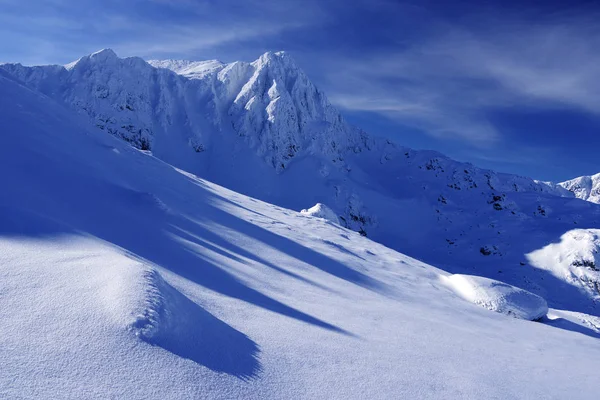 Zima Alpejskich Krajobrazów Europie Park Narodowy Retezat Karpat Rumunii Pokryte — Zdjęcie stockowe