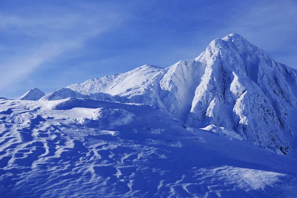 Paisaje Alpino Invernal Parque Nacional Retezat Cárpatos Rumania Europa Nieve — Foto de Stock