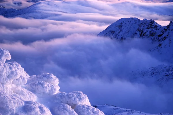Зимний Альпийский Пейзаж Национальном Парке Ретезат Карпаты Румыния Европа Снежный — стоковое фото