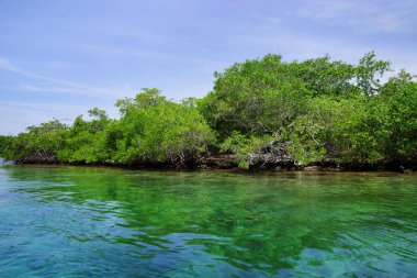 Isla Grande, Rosario adalar, Kolombiya, Güney Amerika