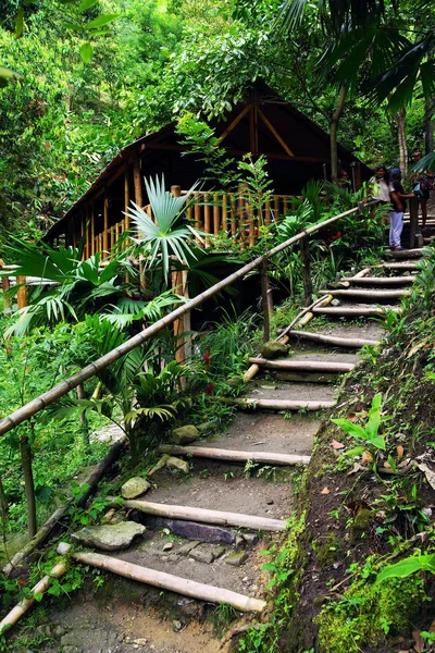 Forest Landhuisje Minca Colombia Zuid Amerika — Stockfoto