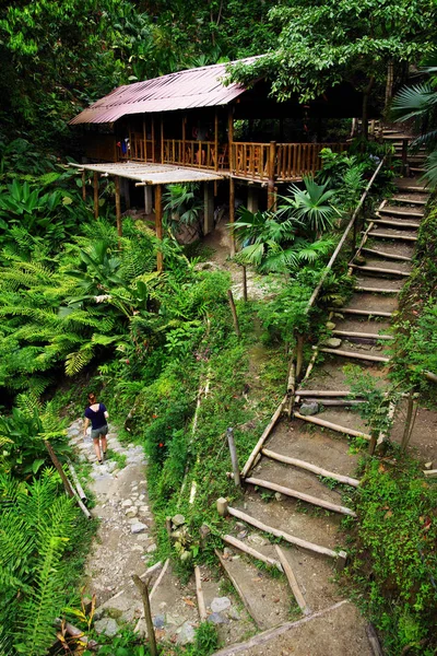 Lasu Domek Minca Kolumbia Ameryka Południowa — Zdjęcie stockowe