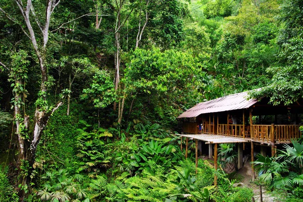 ミンカパノピカ コロンビア 南アメリカの森コテージ — ストック写真